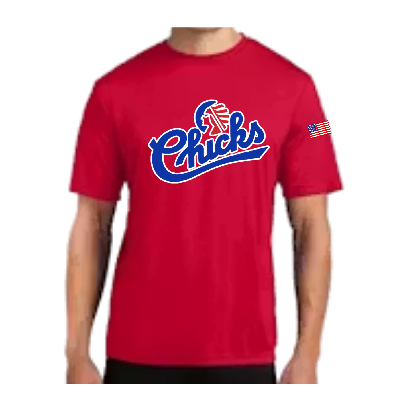 Chicks Short Sleeve T-Shirt (Adult and Youth)